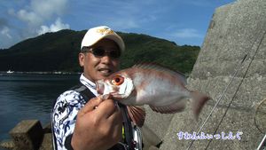 ¾����������